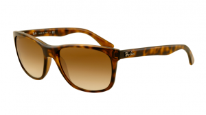 ray_ban_4181_710_51-1