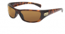 bolle_11229-1