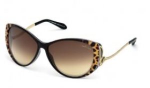 cavalli_rc_741s_05G-1