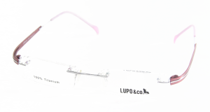 5559_C8